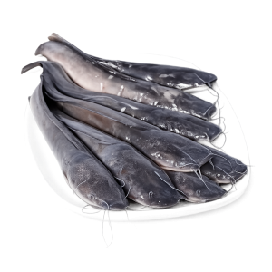 Ikan Lele 1Kg
